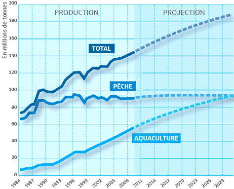 Graphique evolution des stocks de poisson de 1984 à 2030