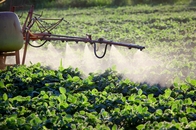 Pesticides.jpg